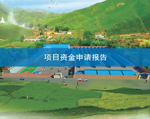  Gansu Project Fund Application Report