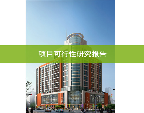  Gansu Feasibility Study Report